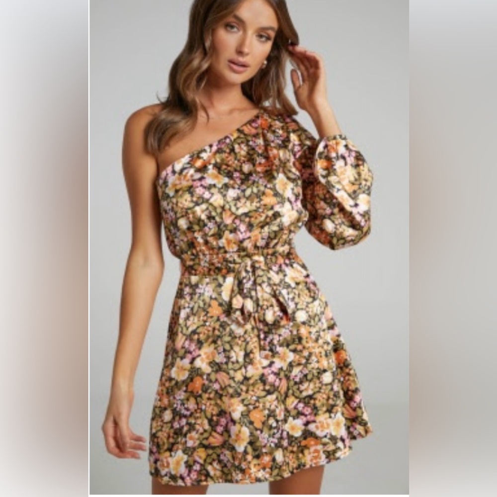 Showpo Multicolor One-Shoulder Dress